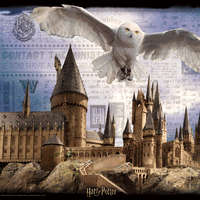 Lenticular 3D Puzzle: Harry Potter Hogwarts Daytime - 4DPuzz - 4DPuzz