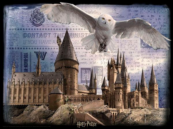 Lenticular 3D Puzzle: Harry Potter Hogwarts Daytime - 4DPuzz - 4DPuzz
