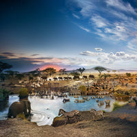 Stephen Wilkes Puzzle Serengeti National Park, Day to Night ™ - 4DPuzz - 4DPuzz