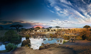 Stephen Wilkes Puzzle Serengeti National Park, Day to Night ™ - 4DPuzz - 4DPuzz